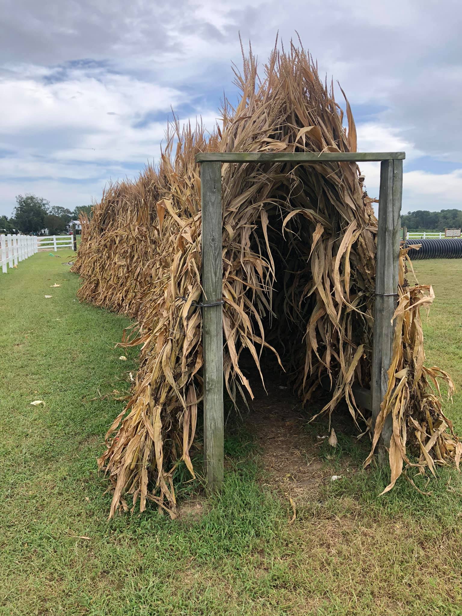 2023 Fall Fun at the Cullipher Farm Pumpkin Patch