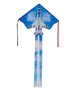 fighter jet kite.jpg