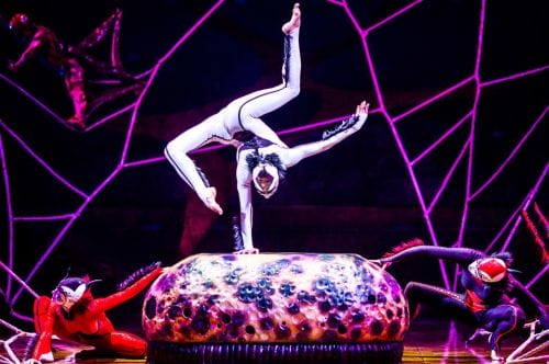 Cirque du Soleil OVO at Hampton Coliseum!
