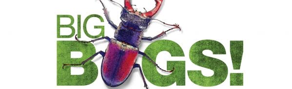 Big Bugs Exhibit at the Virginia Living Museum