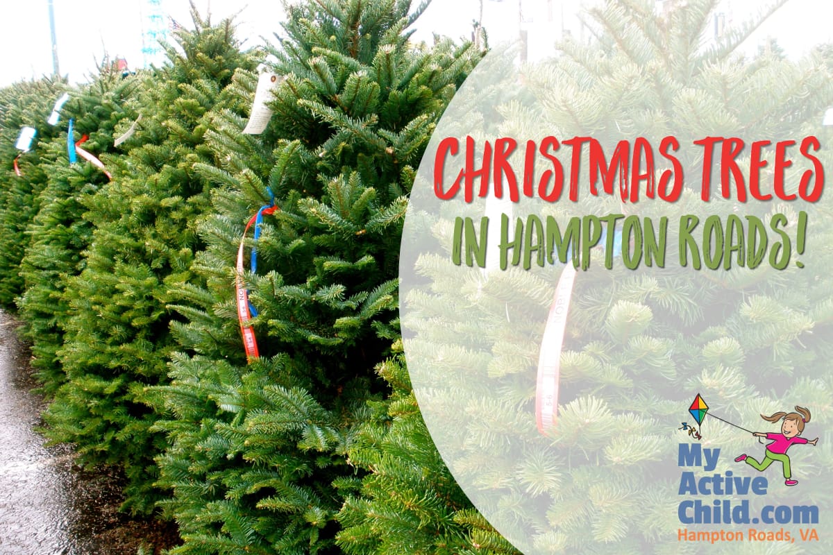 Christmas Trees in Hampton Roads, Virginia