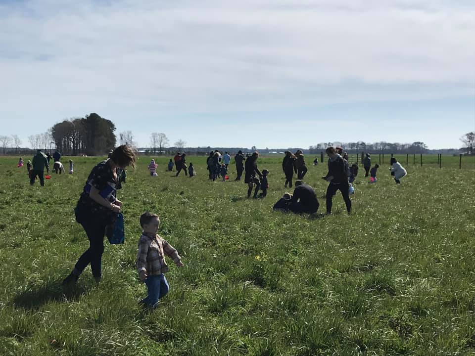 Easter Apple Hunt at Cullipher Farm