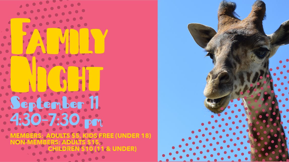 Event: Family Night Zoo