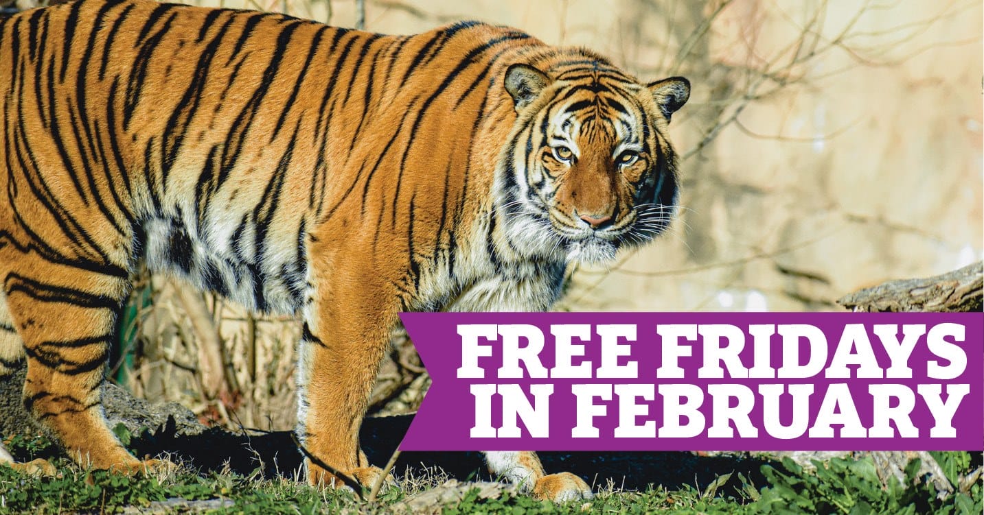 Free Fridays in February at the Virginia Zoo