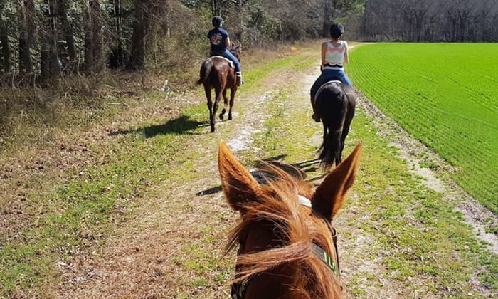 Discount for Trail Riding at Liberty Hall Horse Farm Virginia