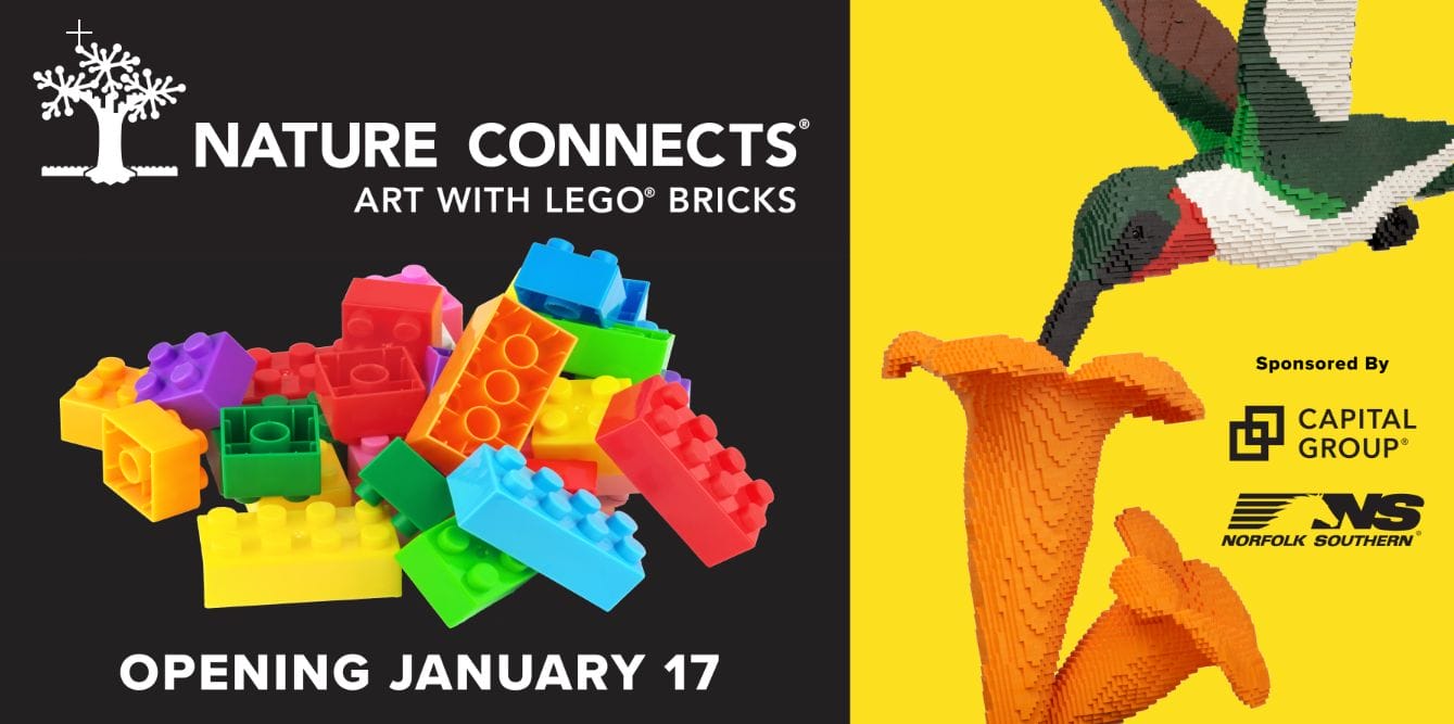 Nature Connects Art with LEGO Bricks