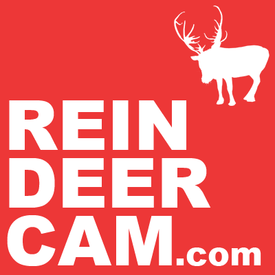 Reindeer Cam Logo.png