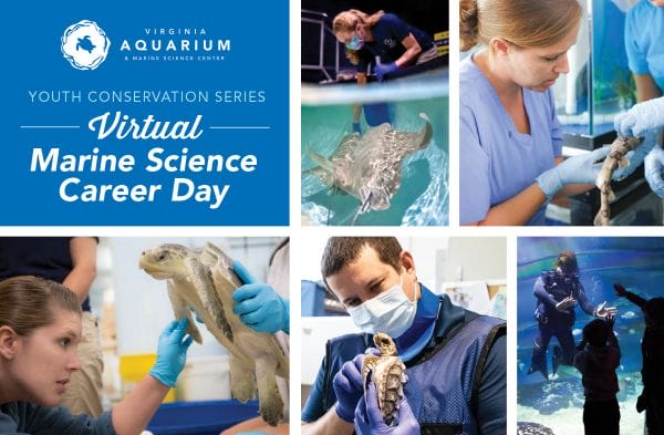 Virtual Career Day Marine Science - Virginia Aquarium