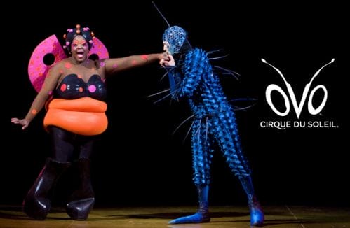 Cirque du Soleil OVO at Hampton Coliseum!