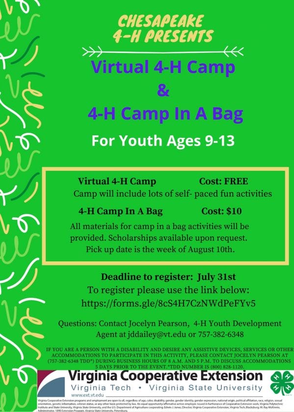 Chesapeake Virginia 4-H Camp Virtual Option Summer 2020