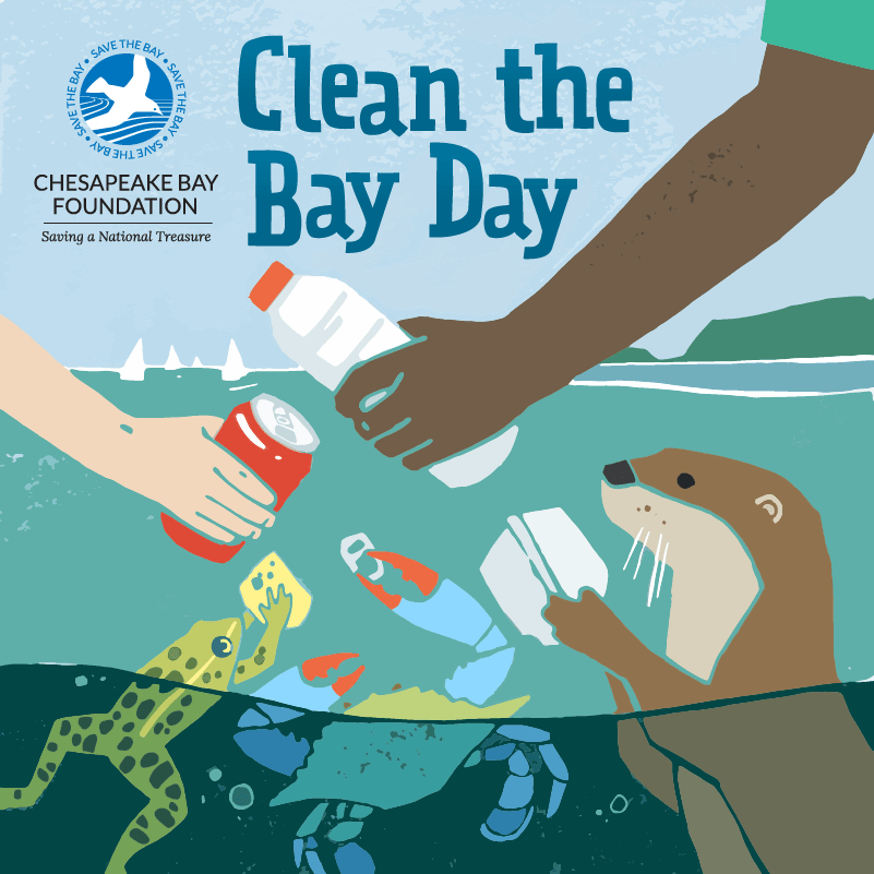 Clean The Bay Day 2022