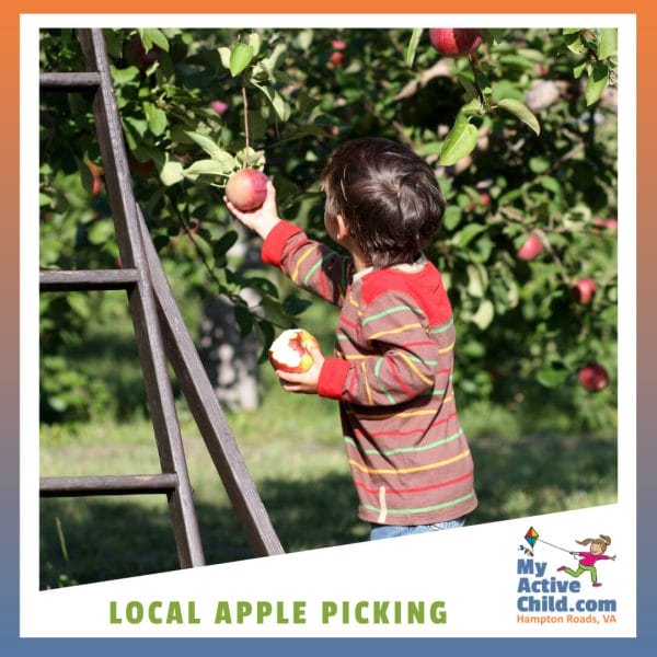Apple Picking in Hampton Roads