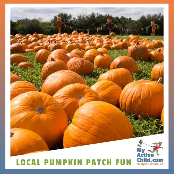 Pumpkin Patch Fun in Hampton Roads