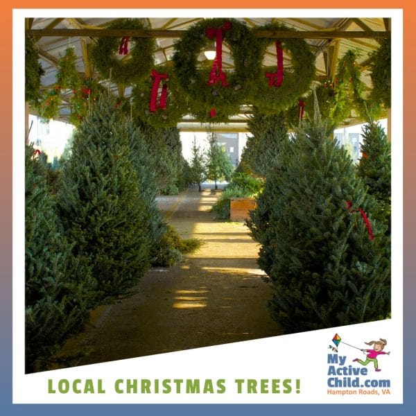 Local Christmas Trees in Hampton Roads